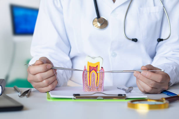 Best Orthodontic Emergency Dentist in Westmoreland, TN